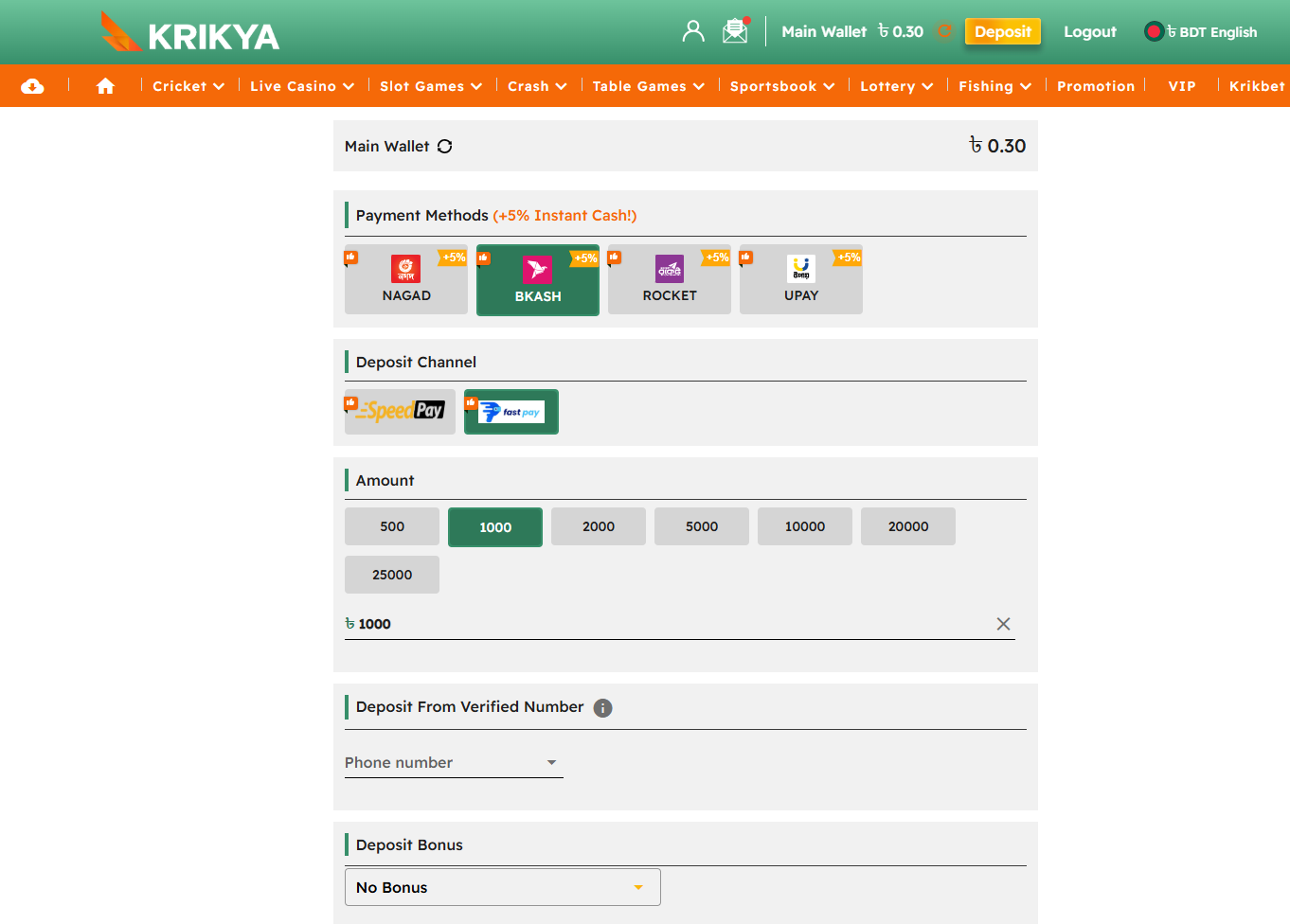 Krikya Deposit Page with Payment Methods